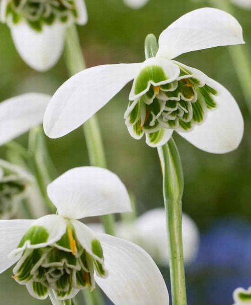 3_000000022427.jpg?1759733980