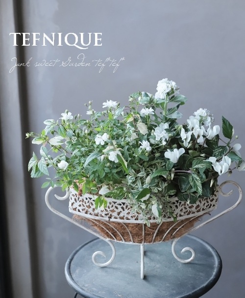 -TEFNIQUE-�󤻿��� 2019 * no.96 *�������ڤʤ��ʤ��򤪷ޤ�����������