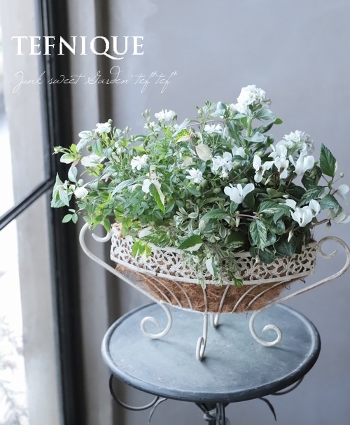 -TEFNIQUE-�󤻿��� 2019 * no.96 *�������ڤʤ��ʤ��򤪷ޤ�����������
