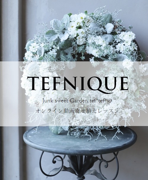-TEFNIQUE-�ڥ���饤��ư��󤻿�����å���� ư��Τߡإۥ磻��Xmas�Υ꡼����