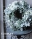 -TEFNIQUE-�ڥ���饤��ư��󤻿�����å���� ư��Τߡإۥ磻��Xmas�Υ꡼����