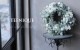 -TEFNIQUE-�ڥ���饤��ư��󤻿�����å���� ư��Τߡإۥ磻��Xmas�Υ꡼����