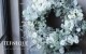 -TEFNIQUE-�ڥ���饤��ư��󤻿�����å���� ư��Τߡإۥ磻��Xmas�Υ꡼����