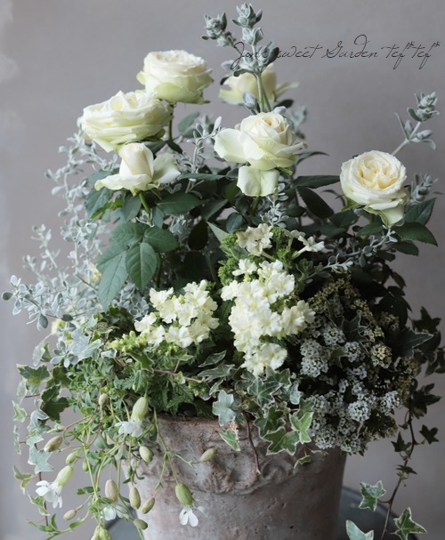 ܷϥС٥ʡʥإ饤॰꡼ٲѤ