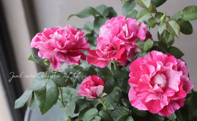 ドイリー1191❤️アンティーク調 薔薇 クチナシの花メドレー