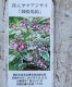 �����껳���۲֡ظ��¾�� -���ƥ�Х˥���-��