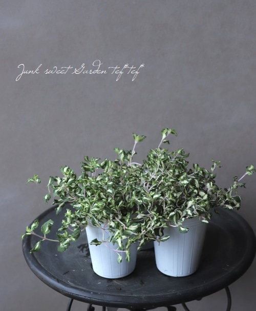 ������٥��˥��� �إ�åɥ饤�󡦥���ѥ�����