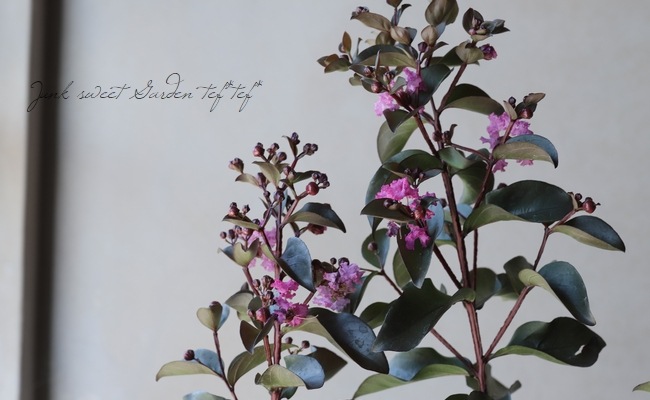 ���ե��륹�٥ꡦ�֥�å��꡼�ե�������ɡ��إߥ��ƥ��å��ޥ��󥿡�