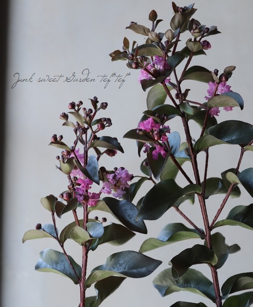 ���ե��륹�٥ꡦ�֥�å��꡼�ե�������ɡ��إߥ��ƥ��å��ޥ��󥿡�