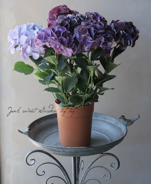 のの★薔薇と紫陽花　最高級綿100%セミダブル　クイーン仕立て直し Amazon.co.jp: バラ苗 苗木 四季咲大輪 ブルームーン 1株 / 薔薇