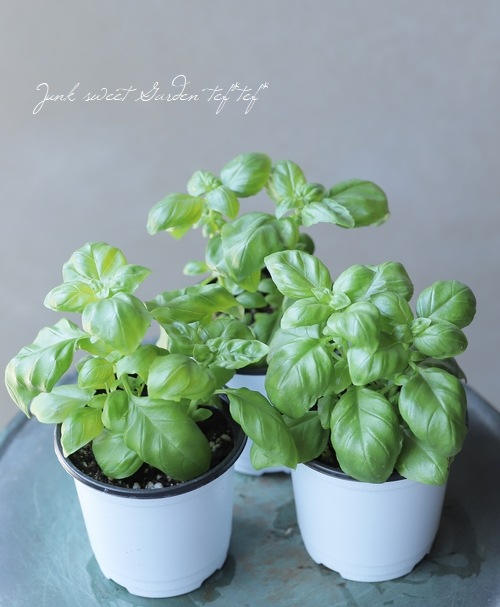 ������ġ��ϡ��֡ۡ��Х��롦���С��꡼�ա��إ����Υ١�����