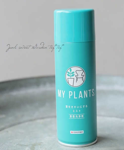 tef*tef*åհʡMY PLANTS դ򤭤줤ˤߥȡ տʪαФץ졼