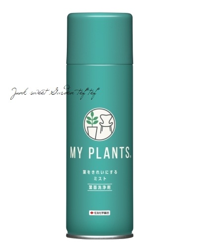 tef*tef*åհʡMY PLANTS դ򤭤줤ˤߥȡ տʪαФץ졼