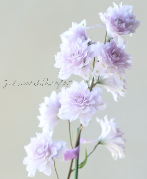 �ǥ�ե��˥��ࡦ�ϥ����������꡼�����إ�������