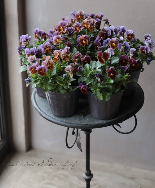 ����LUXURY SELECTION��tef*tef*���ꥸ�ʥ� �ӥ��� �إ⡼�֥��祳���