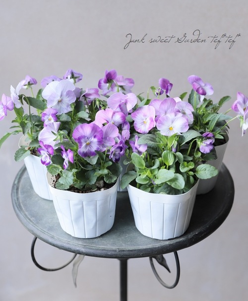 ���褯�餯���ߥ졦�ѥ󥸡����إ饤����