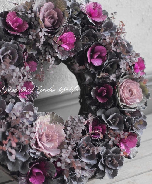 【花苗】ミニ葉ボタン ジュエリーシリーズ BLACK LEAF おまけ種子付き □葉牡丹 ジュエリーシリーズ 『ブラックリーフ』 3～5本植え | すべて