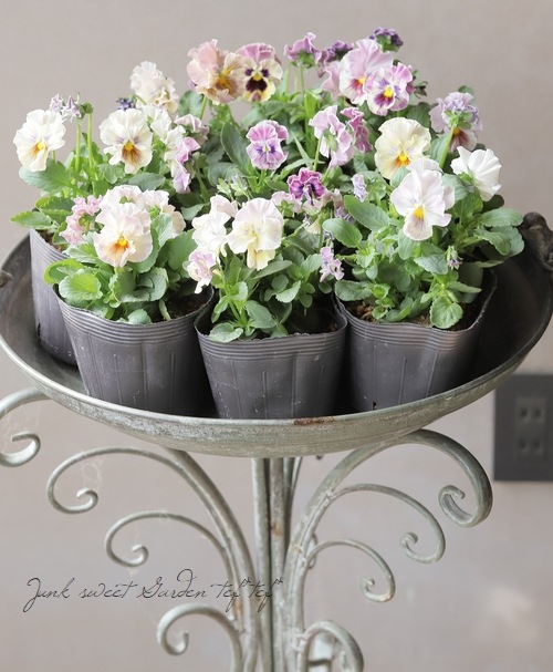 ◇パンジー・きもの 『ラベンダーピンク』 | すべての商品 | | Junk