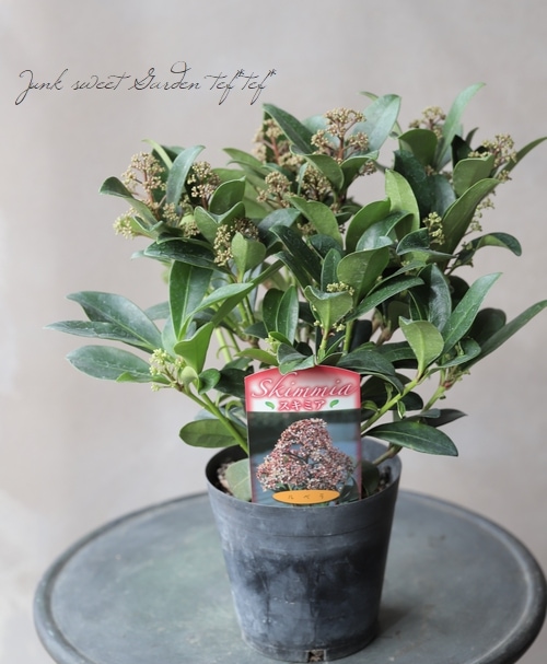 5_000000010029.jpg?1678209903