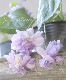 Ȭ�ź餭�ѥ�ޥ��ߥ졡�˥������ߥ� �إ��å��������ǡ��ѥ���