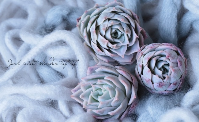 ��¿����ʪ�ۡ��إ�������������١������٥ꥢ°