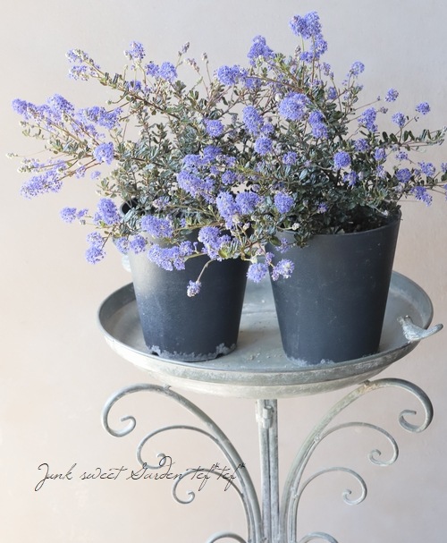 11_000000022029.jpg?1745242929