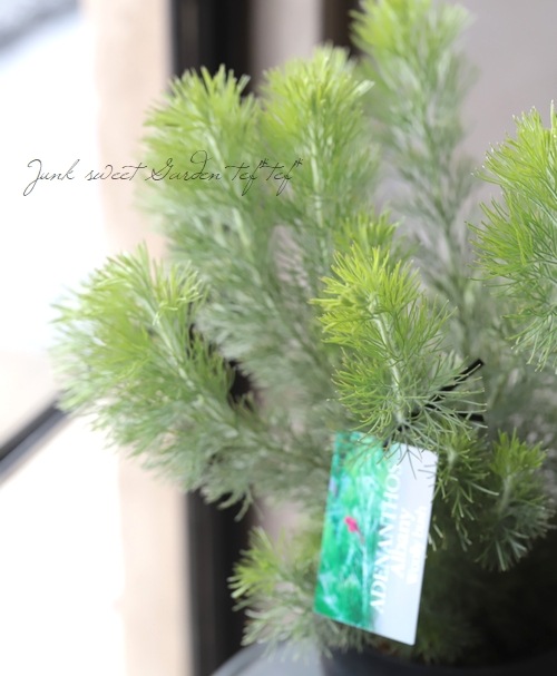 �����ʼ���ǥʥ󥵥����إ���Хˡ��������꡼�֥å����