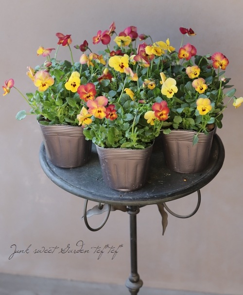 ߤȥܥӥ顡إ269١ԥ󥯡