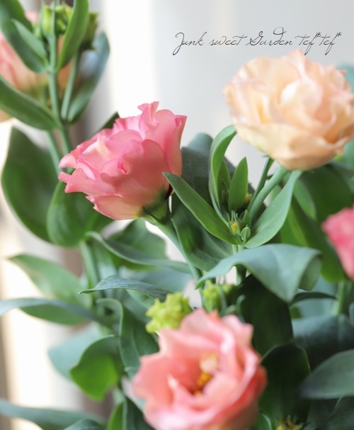 �ȥ륳�����祦�� �إ��åѡ���