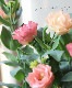 �ȥ륳�����祦�� �إ��åѡ���