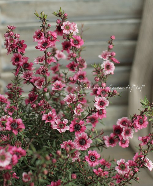 �����˶������в��ڡ�<BR>�إ����奦�Х���5��ȭ