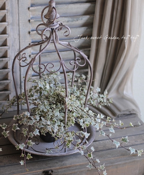 きなこセリテラボディ白セリテラLL24320円 リリベスセンテラバイオームクリーム | ファッション通販サイト NUGU