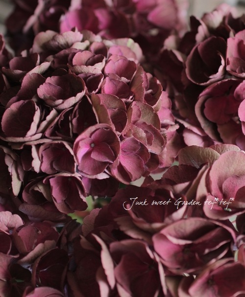 ハレ　デジタルフラワーシシシュウ　ボルドー ハレ デジタルフラワーシシシュウ ボルドー