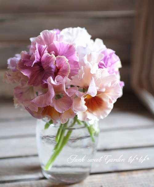 �ե��ѥ󥸡� �ե�ե� �إ������ԥ󥯡�