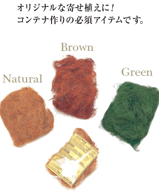 �ڻ��ߡ� �����ե����С����إ֥饦���