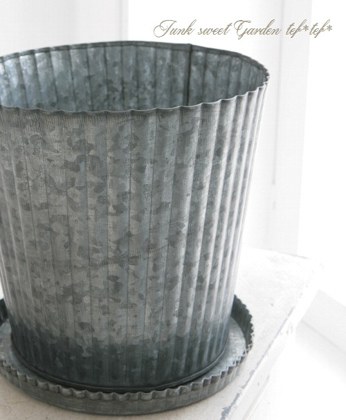 �ڻ��ߡ� ���롼�֡��֥ꥭ�ݥå� L������