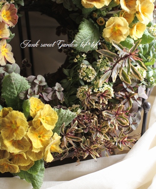 tef*tef*�󤻿����꡼��<BR>>2015 * no.22 *<BR><BR>�ץ���إǥ������Сٻ��ῧ