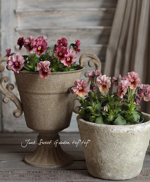 Luxury selection *<BR>村冨氏作出・フリルビオラ『桂鈴』<BR>お色お