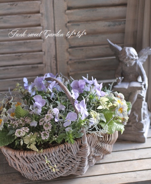 tef*tef*寄せ植え<BR>2015 * no29 *<BR><BR>パステルブルー花かご
