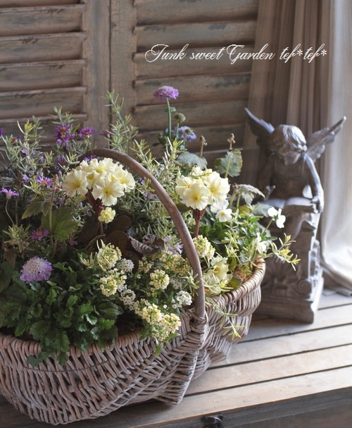 tef*tef*�󤻿���<BR>2015 * no30 *<BR><BR>���꡼��ߥѡ��ץ�֤���