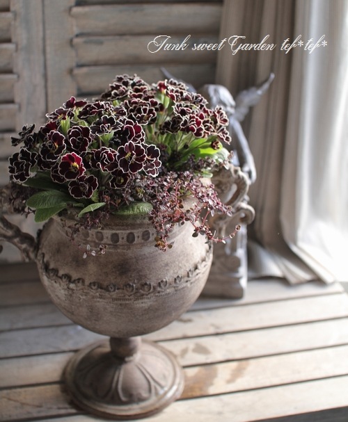 tef*tef*�󤻿���<BR>2015 * no33 *<BR><BR>�إץ���Υ��֥�����