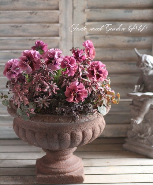 tef*tef*󤻿<BR>2015 * no37 *<BR><BR>եѥ󥸡Ƽ