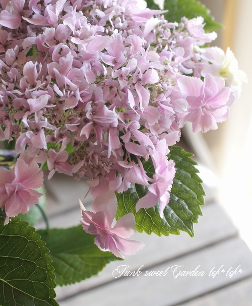 【原画 F3サイズ】Inner Affection：しっとり咲く大人の紫陽花 大久保佳代子 「紫陽花」 水彩6号大（40×30cm） - 一枚の繪オンライン