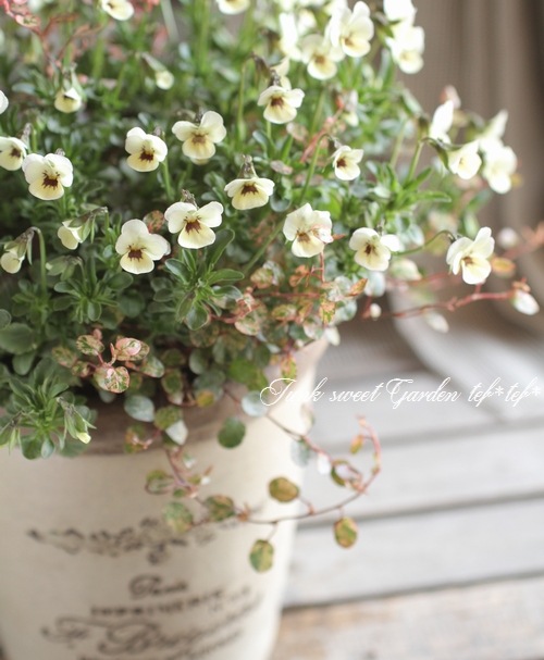 3.11 �����ƥ�.�ץ���������<BR><BR>��7�ͤξ��͡ٴ󤻿��� no.4