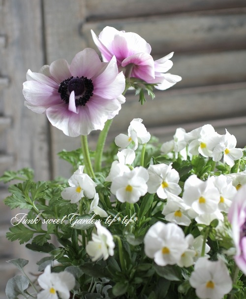 3.11 �����ƥ�.�ץ���������<BR><BR>�󤻿��� no.10<BR>�إ��ͥ�͡���ӥ����