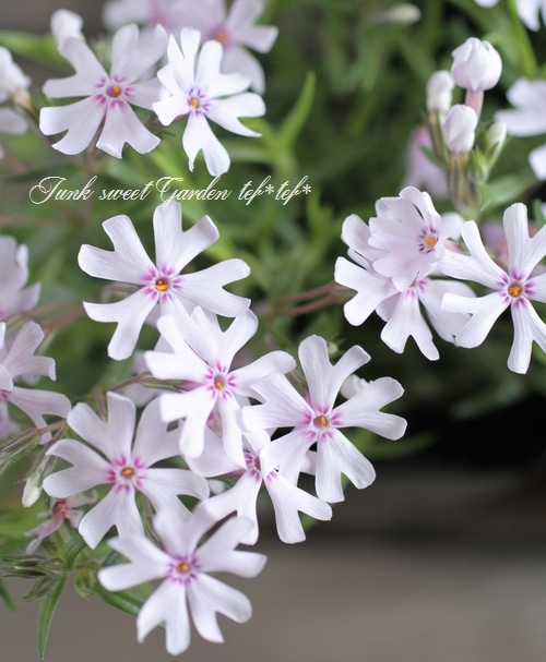 2_000000004698.jpg?1678209903