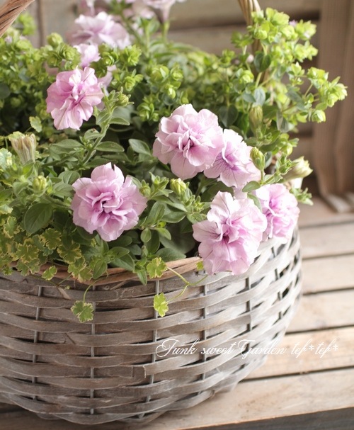 tef*tef*󤻿<BR>2015 * no73 *<BR><BR>إѥ˥١ߥХå