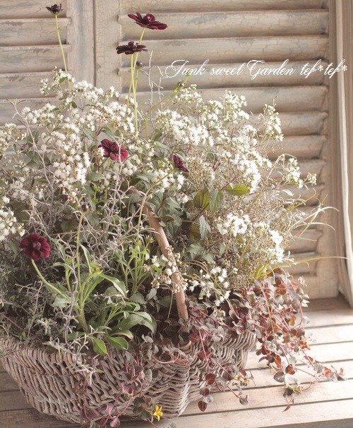 tef*tef*�󤻿���<BR>2015 * no94 *<BR><BR>���λޤ��