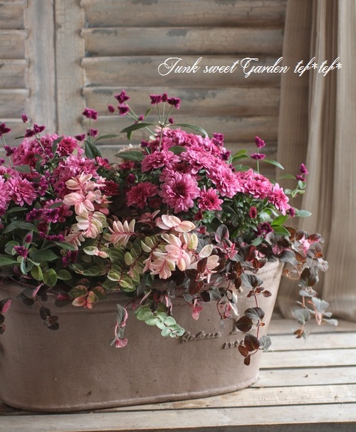 tef*tef*󤻿<BR>2015 * no95 *<BR><BR>ǥޥࡦԥ