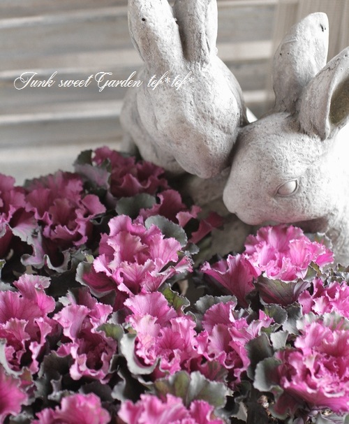 ֡Ωơߥ˥եղðإեȥǥ